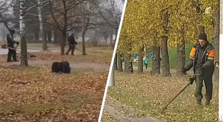 Na Bielorrússia muitas vezes vêem comunais que cortam листья folhas e neve. Os serviços públicos explicaram, mas só piorou post thumbnail image